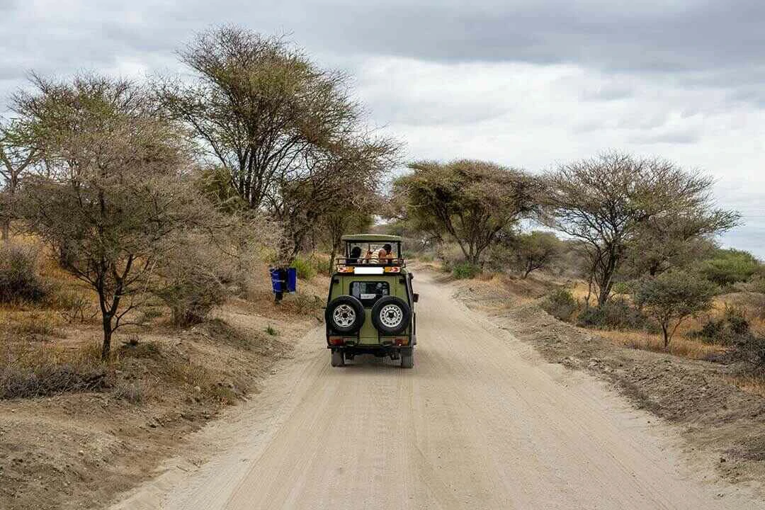 transfer amboseli